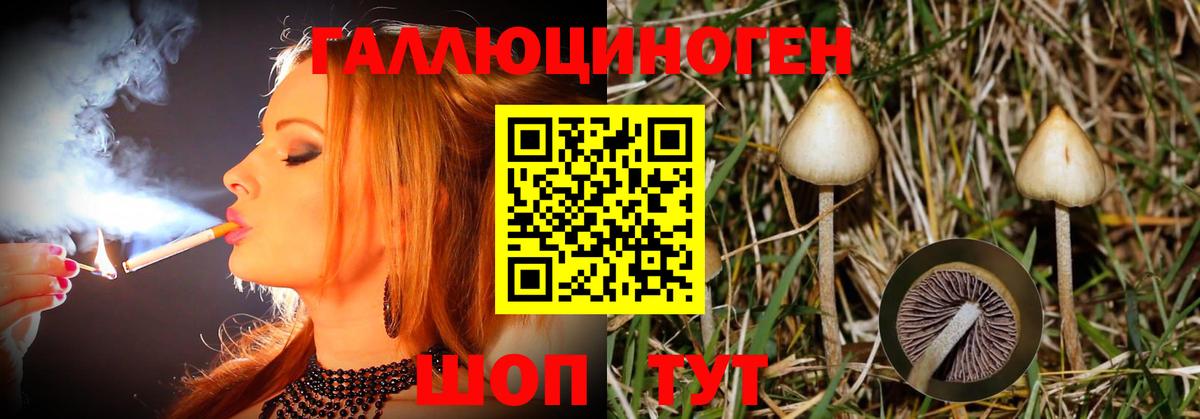 Галлюциногенные грибы Magic Shrooms Шелехов